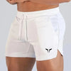 Men's Performance Athletic Shorts - Quick-Dry Breathable Gym & Running Wear