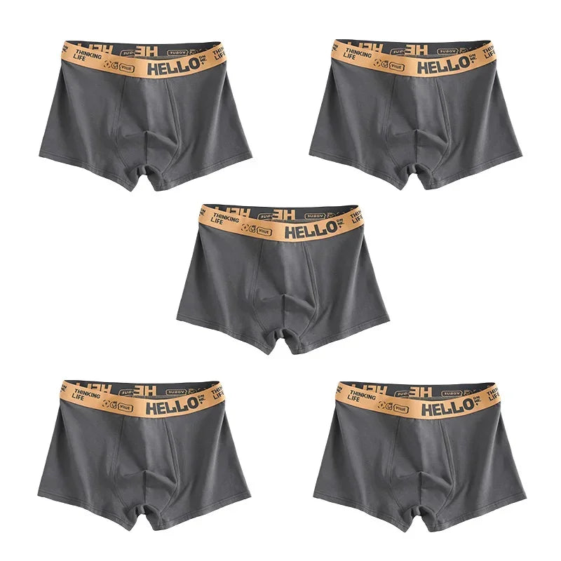 Men's Performance Boxer Trunks - Breathable Quick-Dry Stretch Underwear (1-5 Pack)